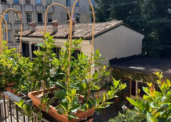 Arena Casa Ennio Verona